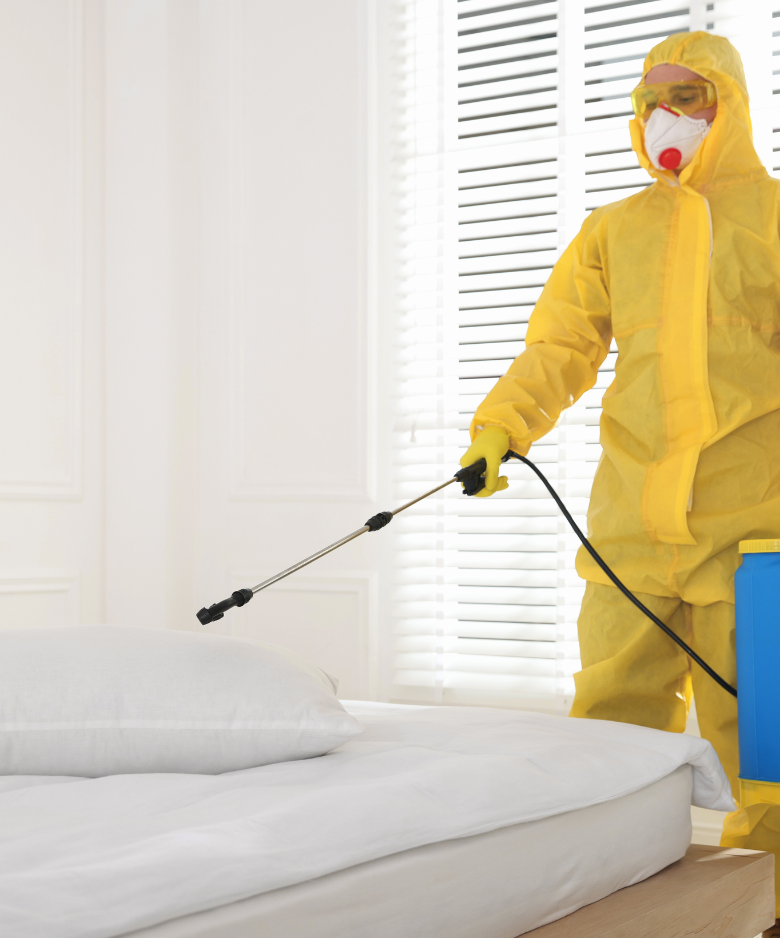Professional Pest Control Team in Mitchell Park